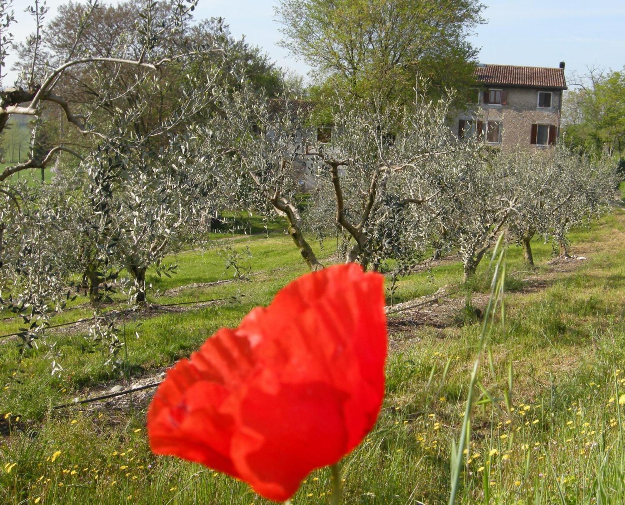 I Vigneti Bed & Breakfast Salionze Zewnętrze zdjęcie